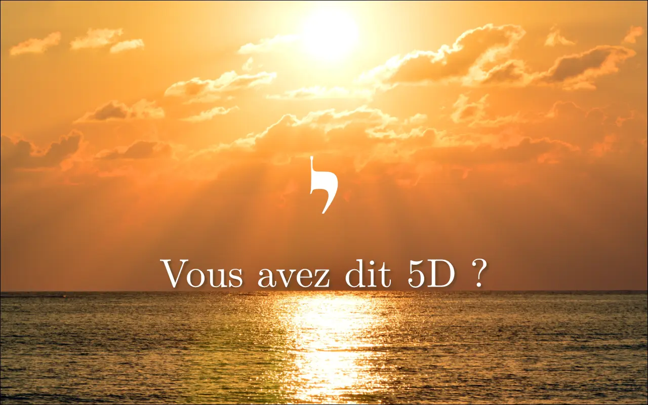 Vous avez dit 5D ? NOBOOK