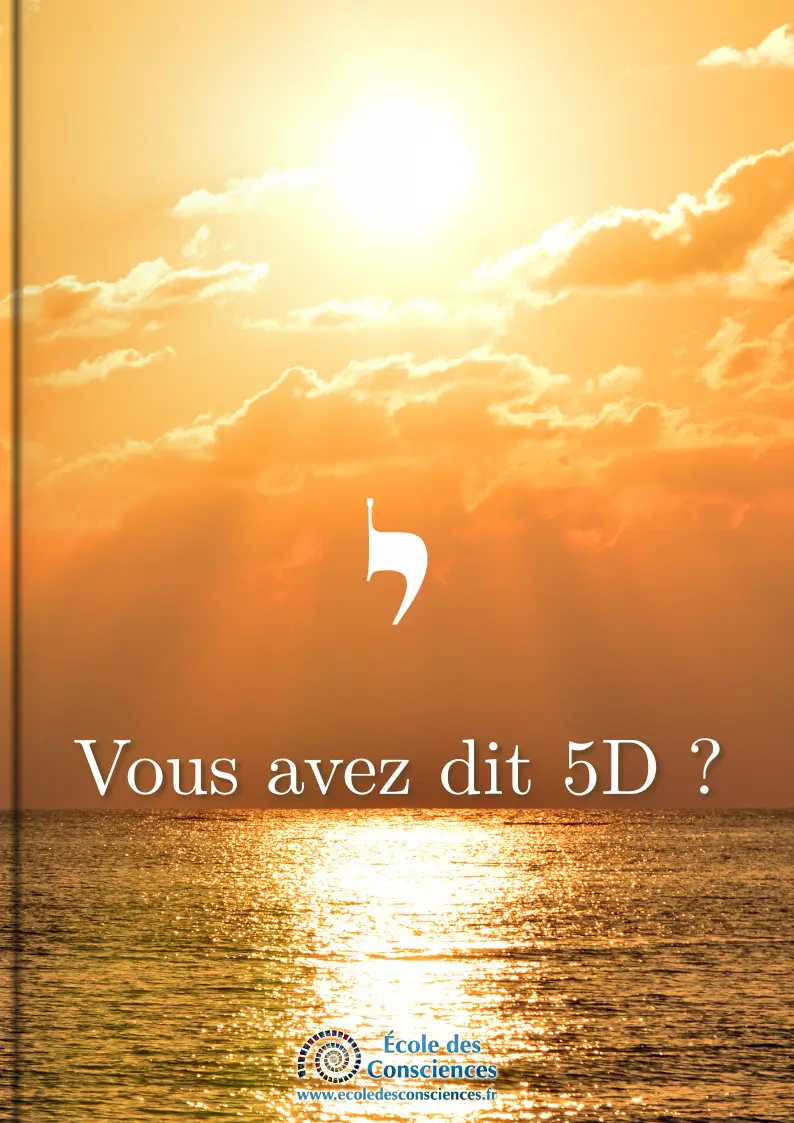 Vous avez dit 5D ?